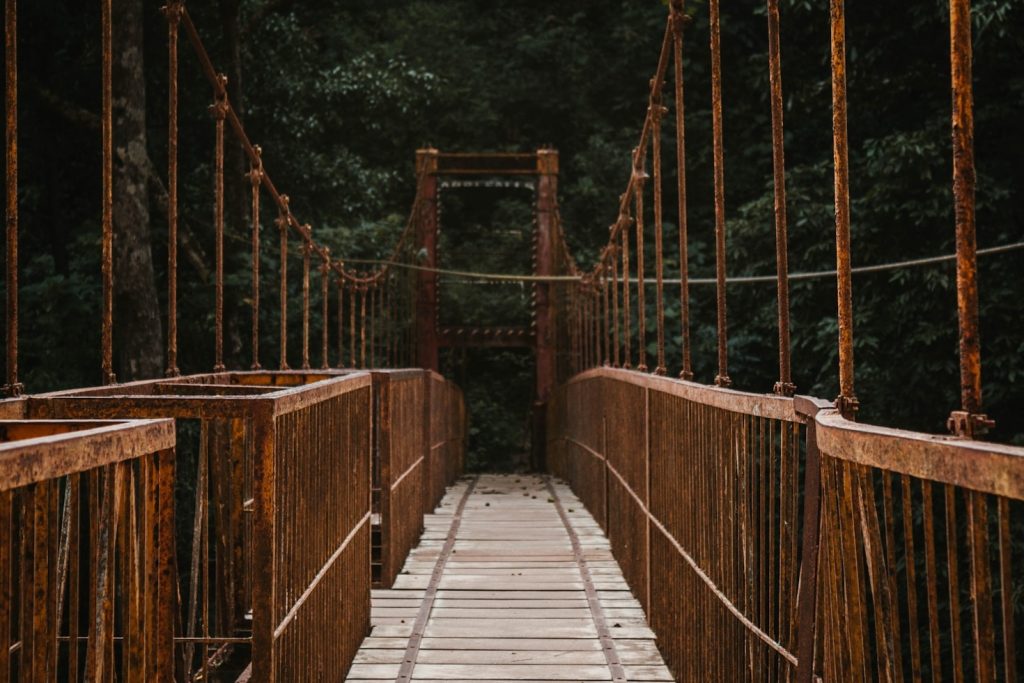 Exploring Untamed Trails: My Top 5 Adventures