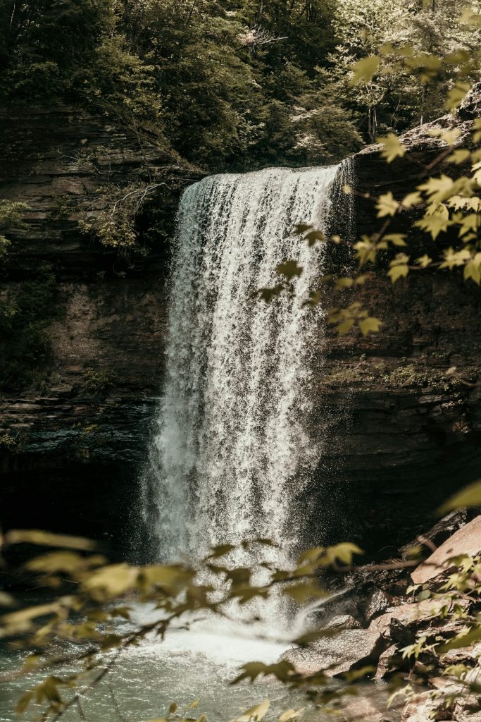 Why Camping Alone Can Be a Life-Changing Experience